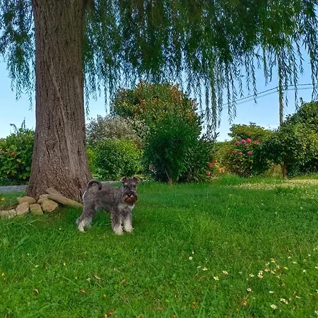 Casa Quintana Сasa de vacaciones