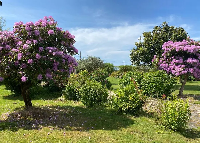 Casa Quintana Salamir