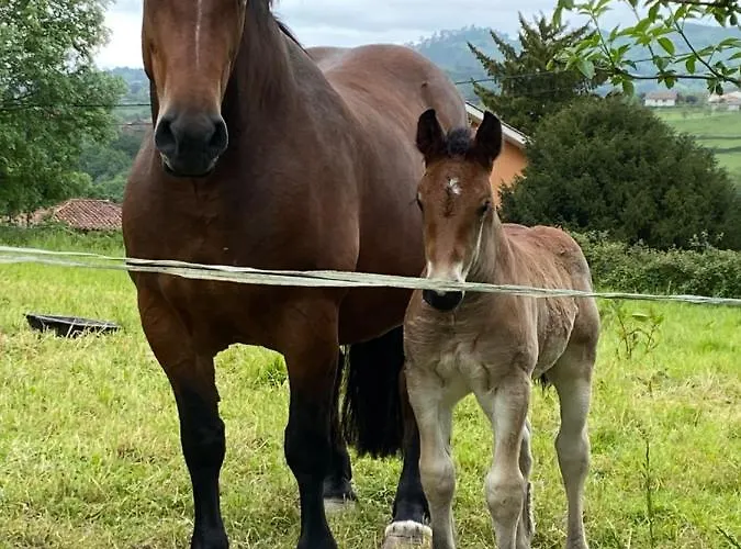 Holiday home Casa Quintana Salamir