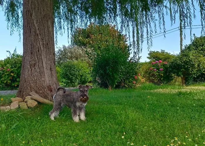Casa Quintana Holiday home