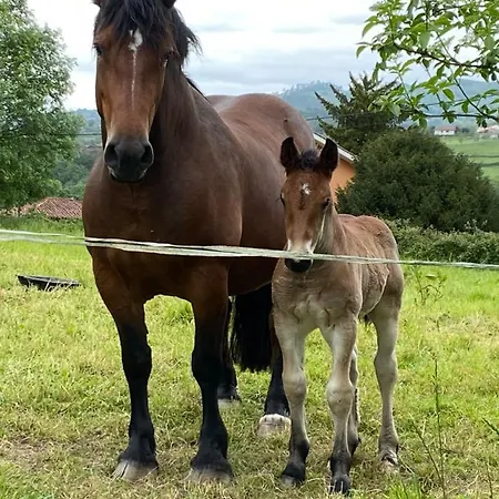 Dom wakacyjny Casa Quintana Salamir